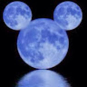 Meet your Posher, Ellen